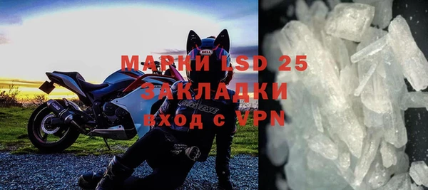 стаф Алексин