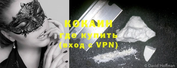 стаф Алексин