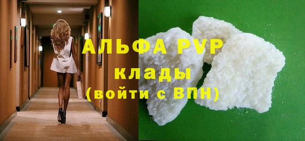 стаф Алексин